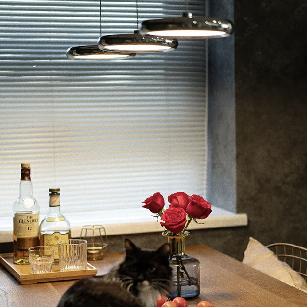 Arisha Minimalist Circular Metal Pendant Light,Silver/Gold/Rose Gold - Neutral Decor