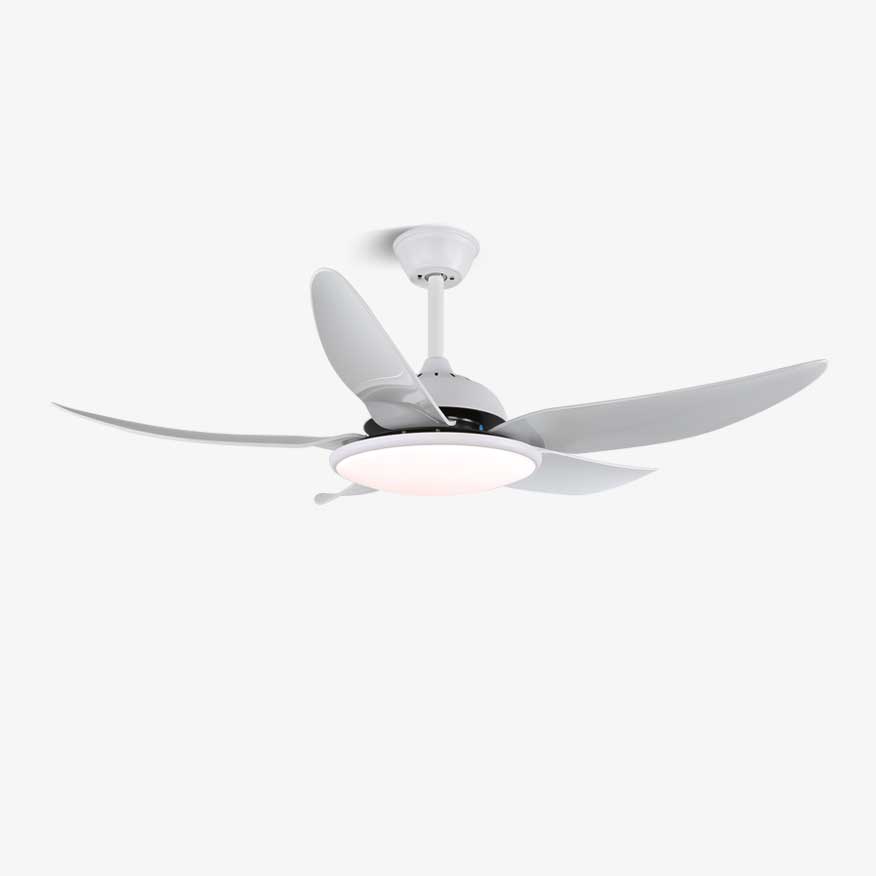 Aquila Modern Ceiling Fan Light-Neutral Decor