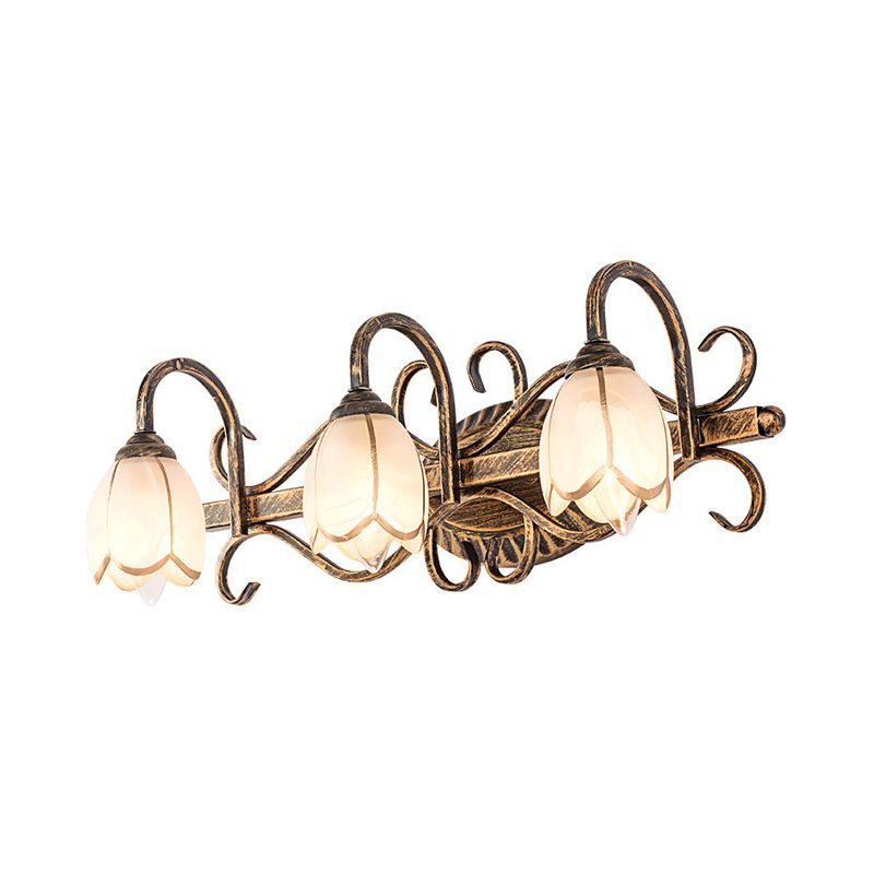 Arisha Antique Brass Flower Mirror Front Vanity Wall Lamp - Neutral Decor