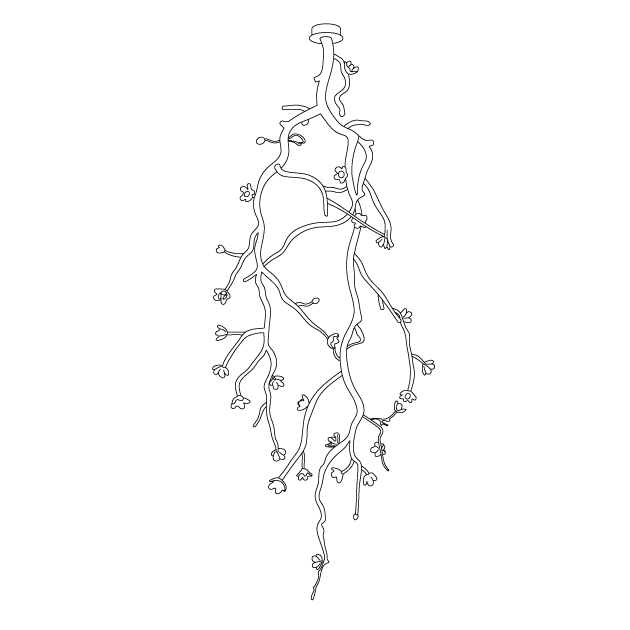 Rae Chandelier Black Branch Flower-Neutral Decor