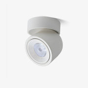 Coriel Modern Minimalist Rotating Surface Downlight Ceiling lamp-Neutral Decor