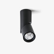 Ivinir Modern Minimalist Pivot Surface Downlight Ceiling lamp-Neutral Decor