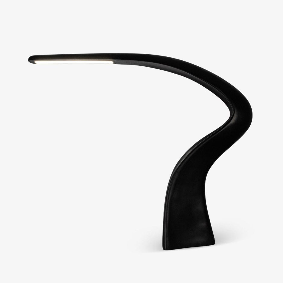 Fluten Black Modern Floor Lamp-Neutral Decor