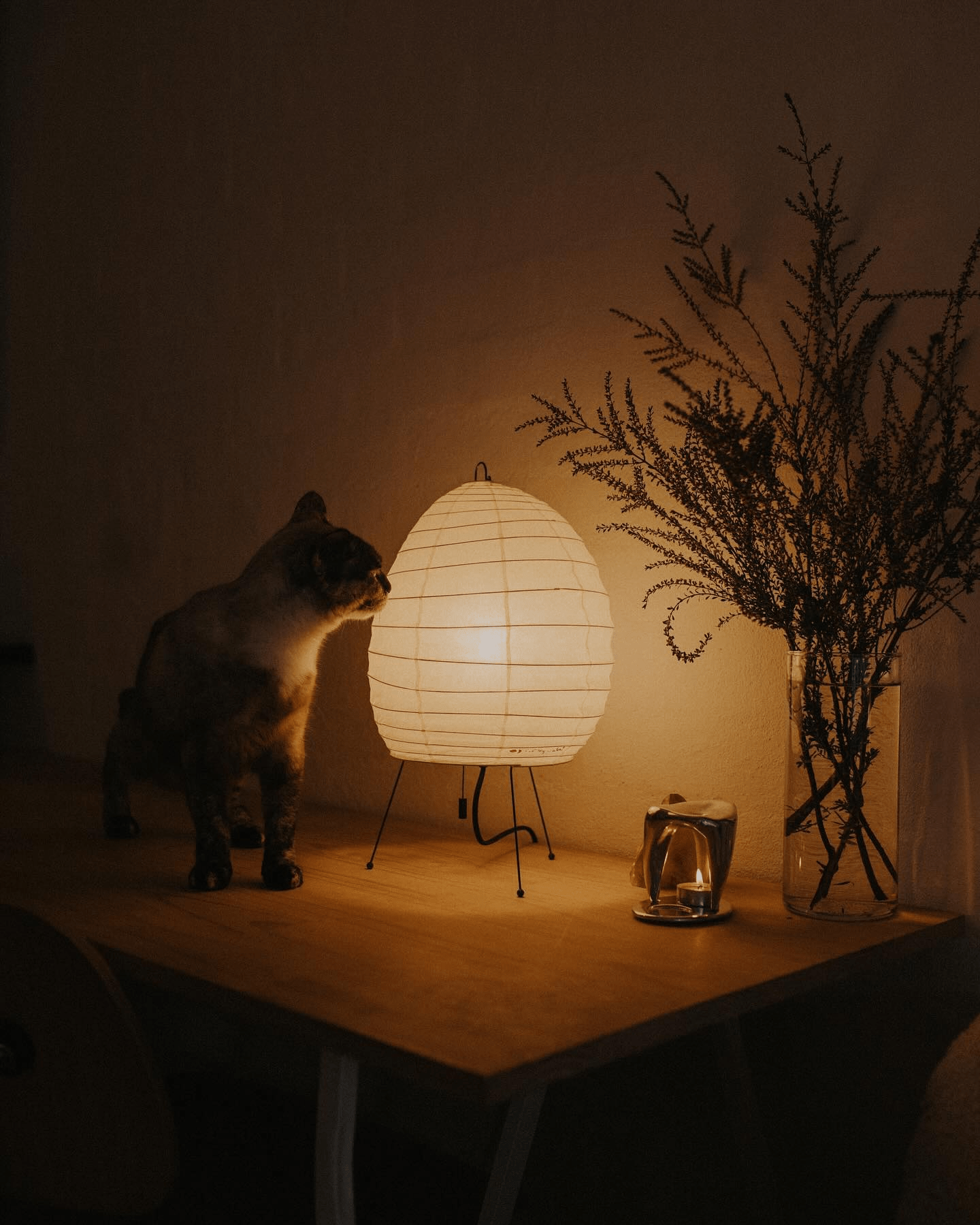 Elaris Modern Rice Paper Table Lamp-Neutral Decor