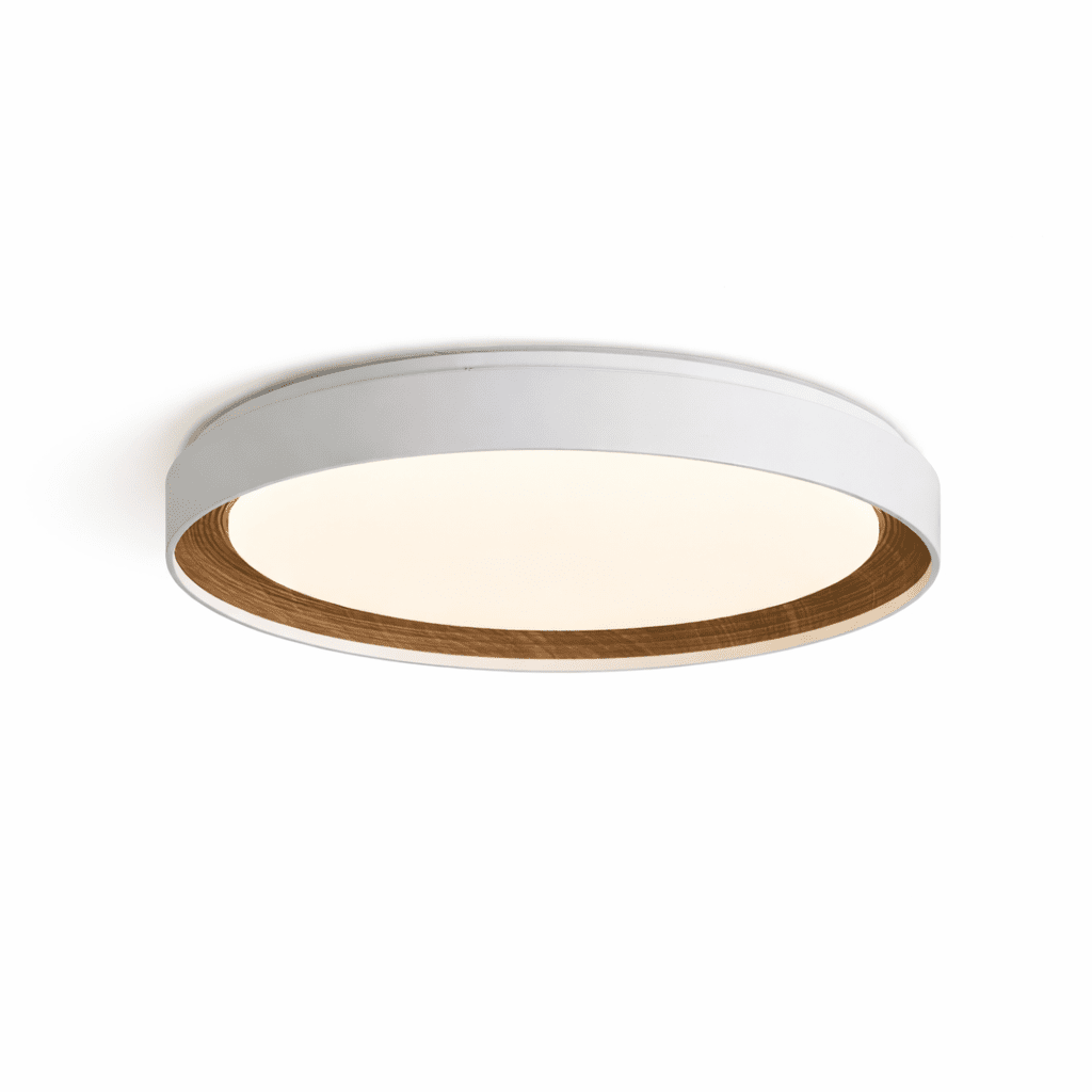 Arco Acrylic Ceiling Light-Neutral Decor