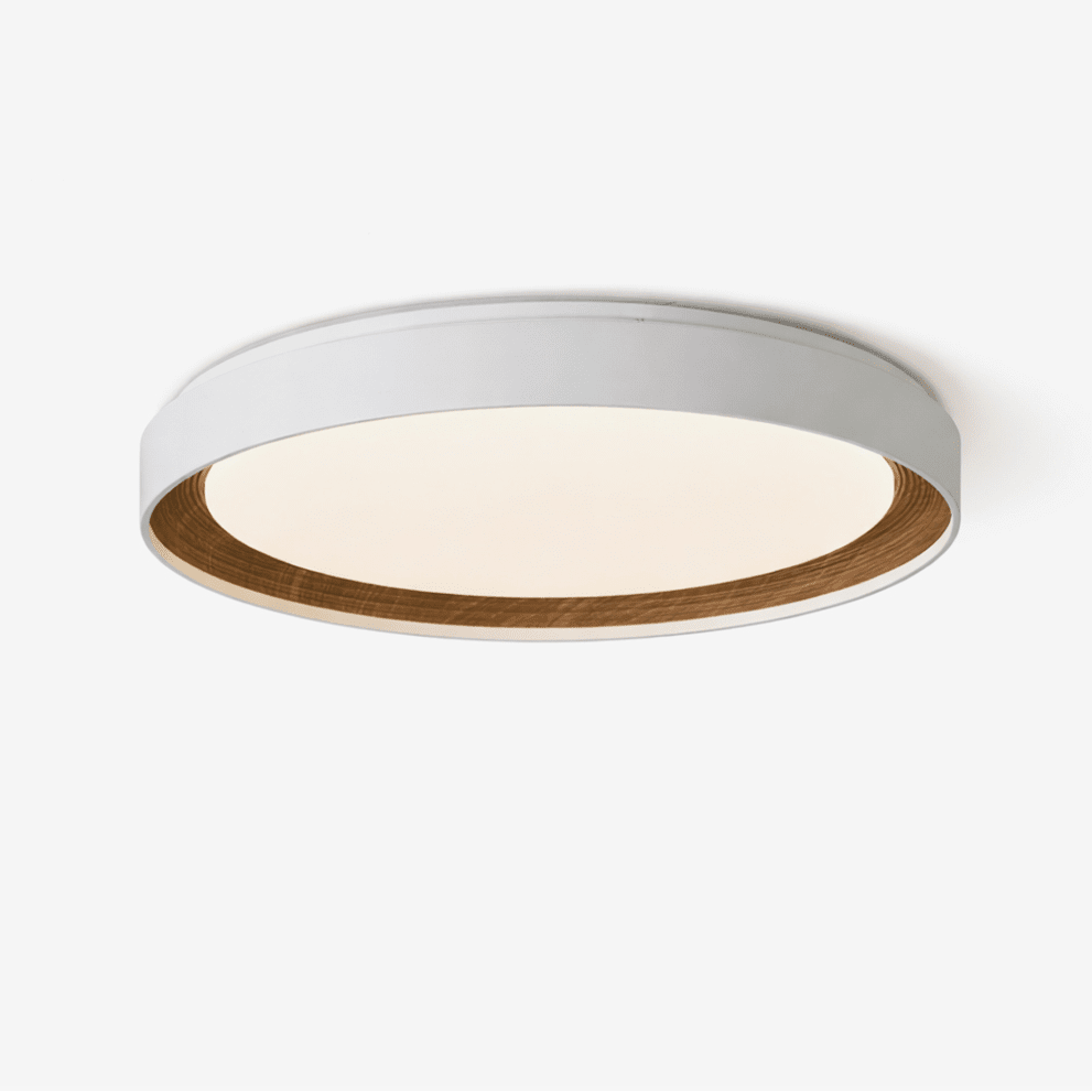 Arco Acrylic Ceiling Light-Neutral Decor