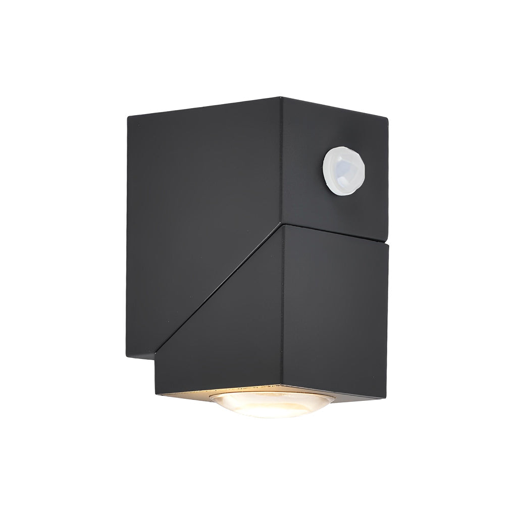 Priilla Motion Sensor Outdoor Wall Lamp