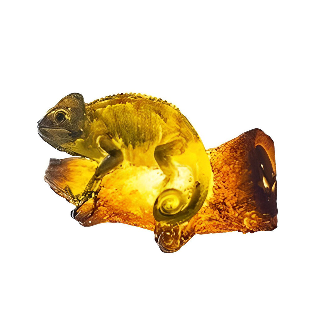 Michael Simulation Animal Parrot LED Resin Outdoor Lights