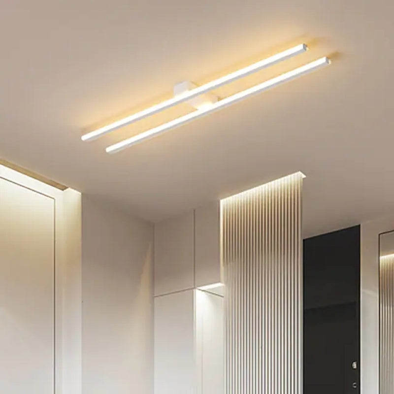 Arisha Modern Minimaliste Flush Mount Ceiling Light, Double-Linear - Neutral Decor