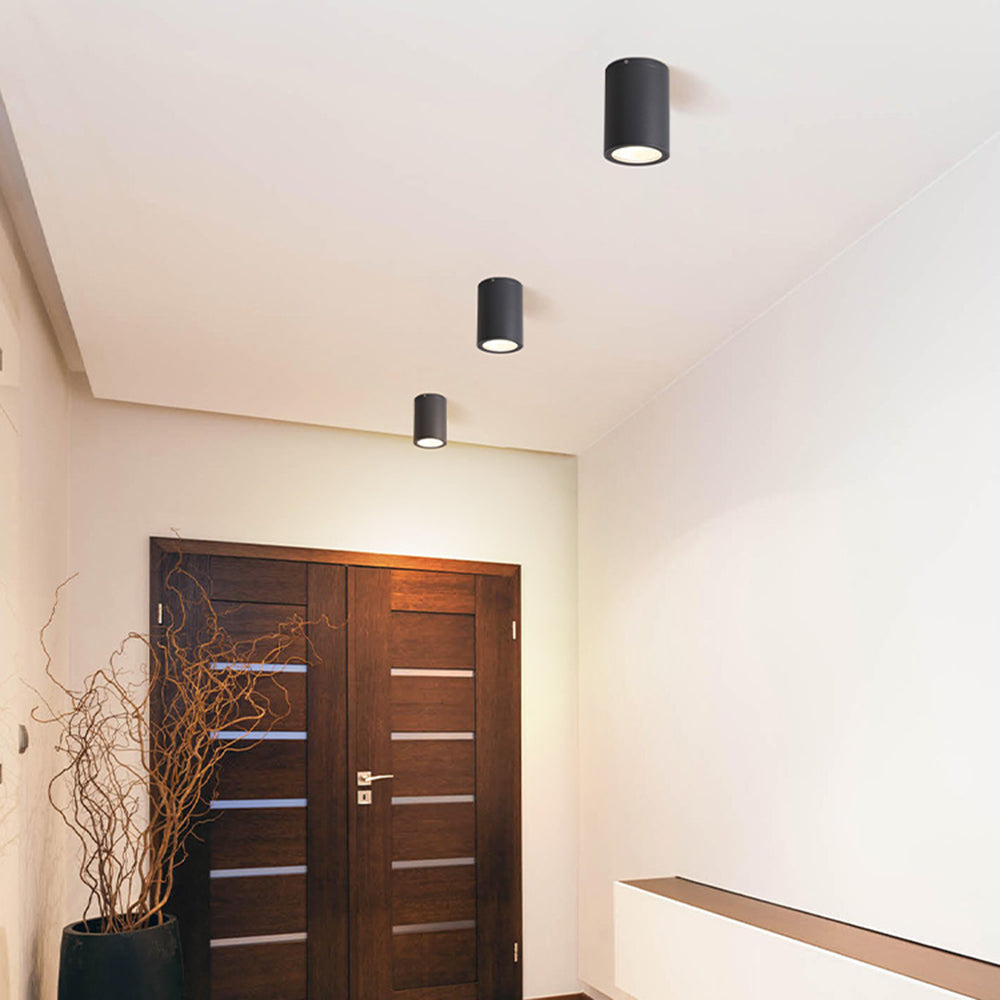 Ray Modern Black Cylindrical Flush Mount Ceiling Light Spotlight - Neutral Decor