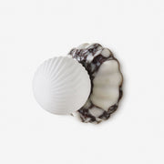 Cova Wall Sconce