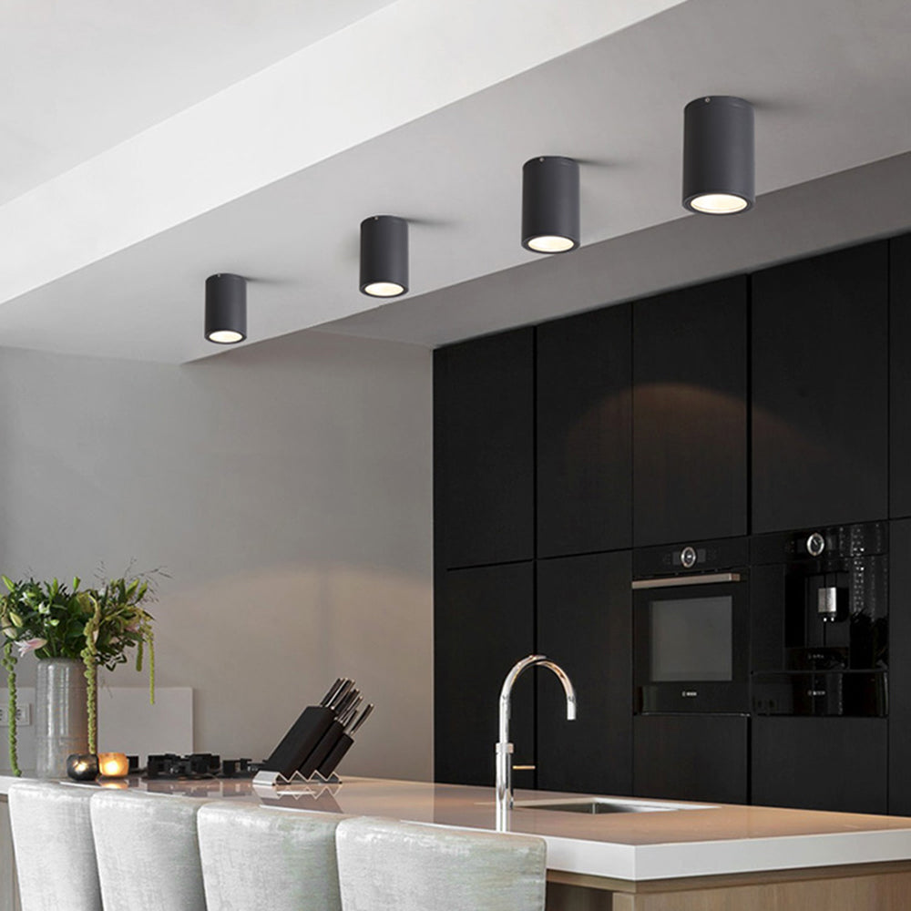 Ray Modern Black Cylindrical Flush Mount Ceiling Light Spotlight - Neutral Decor