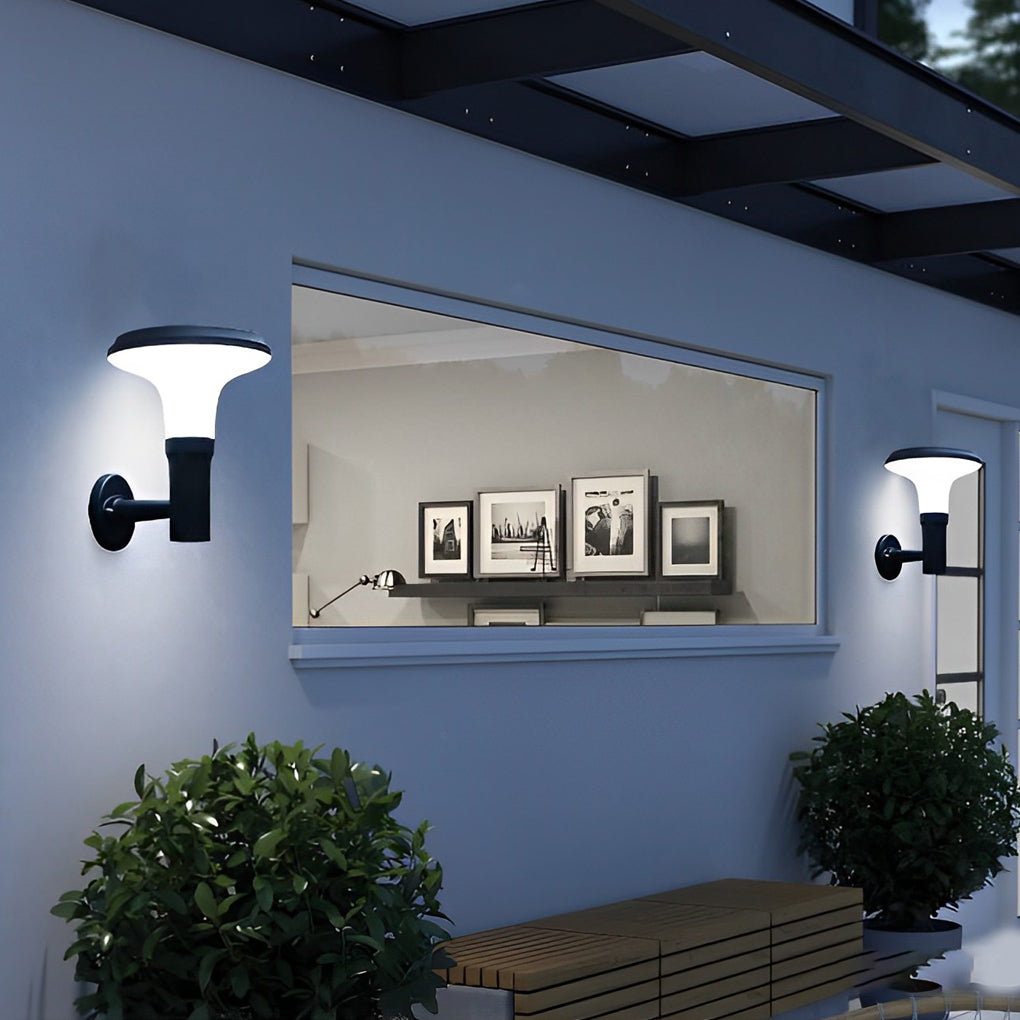Sunine Round Flower LED Modern Outdoor Wall Lamp