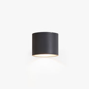 Ray Modern Black Cylindrical Flush Mount Ceiling Light Spotlight - Neutral Decor