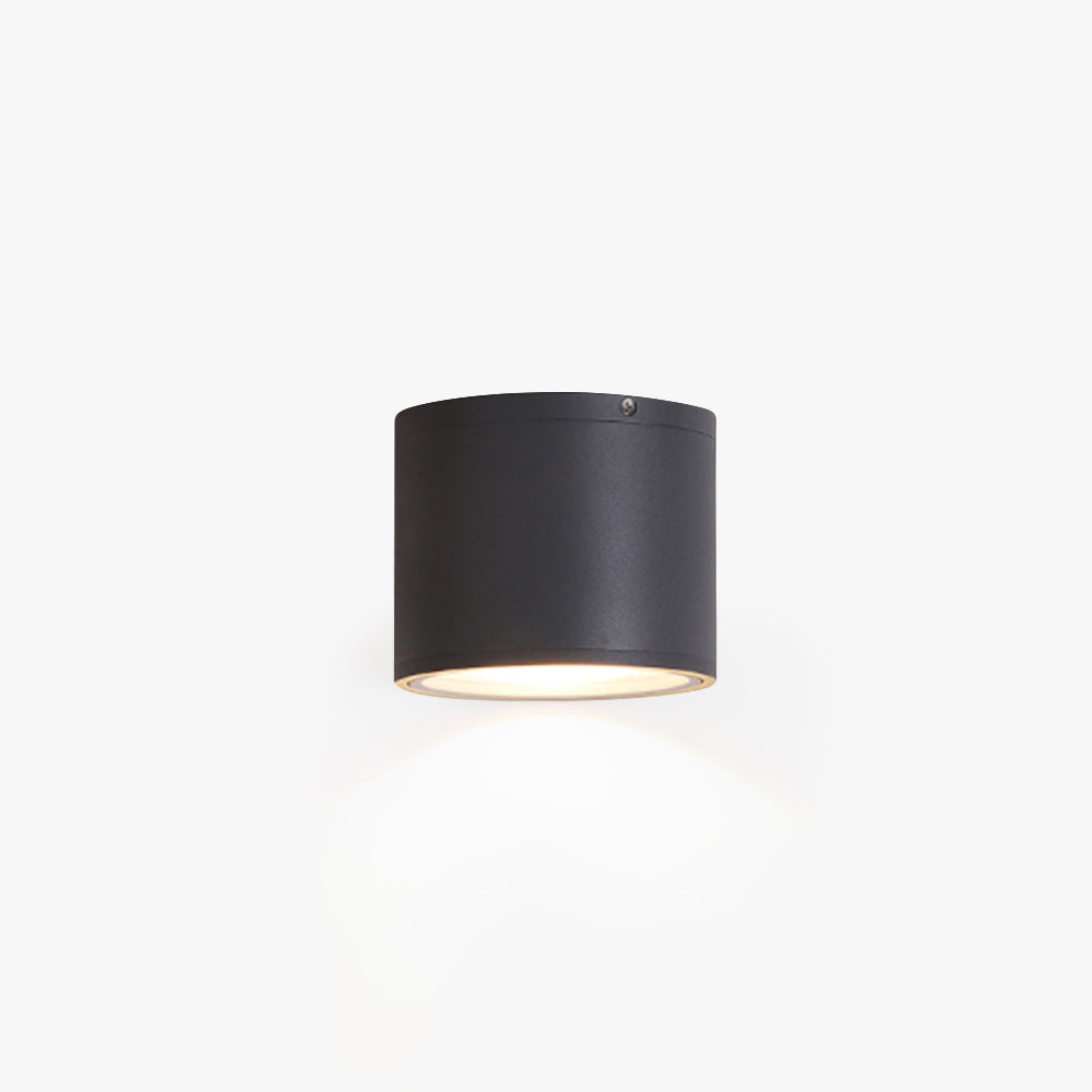 Ray Modern Black Cylindrical Flush Mount Ceiling Light Spotlight - Neutral Decor