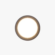 Ray Modern Flush Mount Ceiling Light, Metal/Acrylic, Square/Round, Black/Brown - Neutral Decor