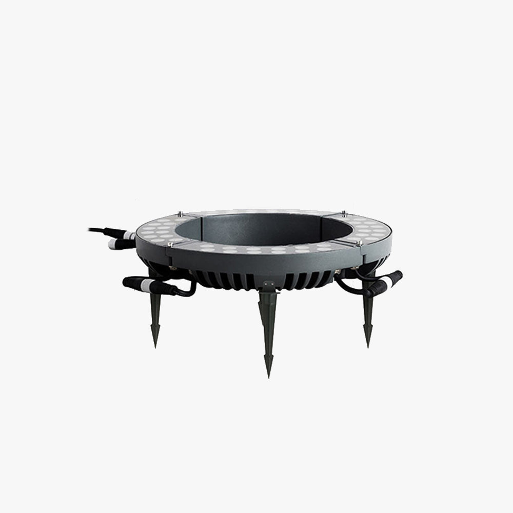 Ray Modern Irregular Metal/Glass Outdoor Ground Light for Trees Black - Neutral Decor