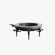 Ray Modern Irregular Metal/Glass Outdoor Ground Light for Trees Black - Neutral Decor