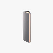 Ray Modern Triangular Prism Metal Outdoor Wall Lamp, Black/Silver - Neutral Decor