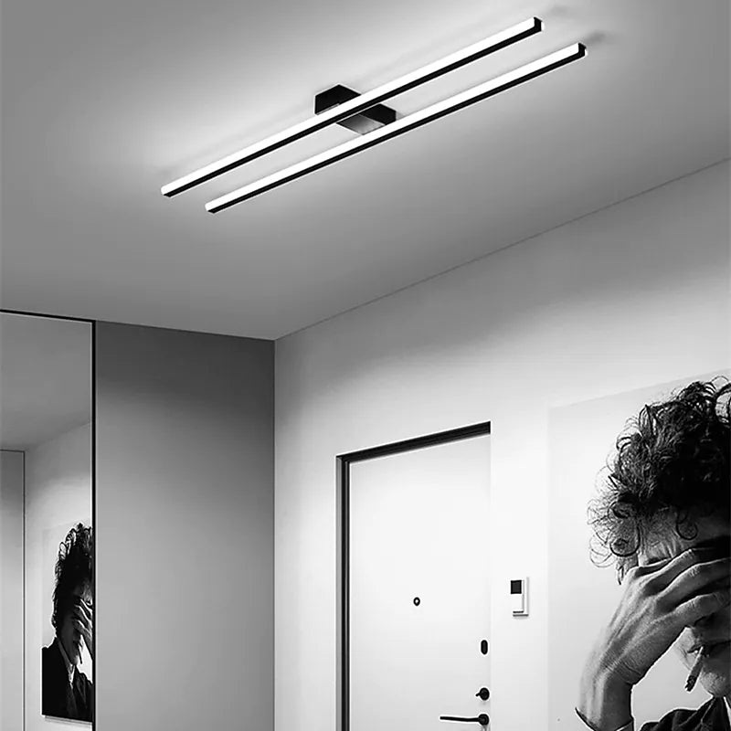 Arisha Modern Minimaliste Flush Mount Ceiling Light, Double-Linear - Neutral Decor