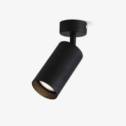 Vosilel Modern Minimalist Spotlight Ceiling lamp-Neutral Decor