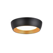 AFX Minimalist Duncan Ceiling Light