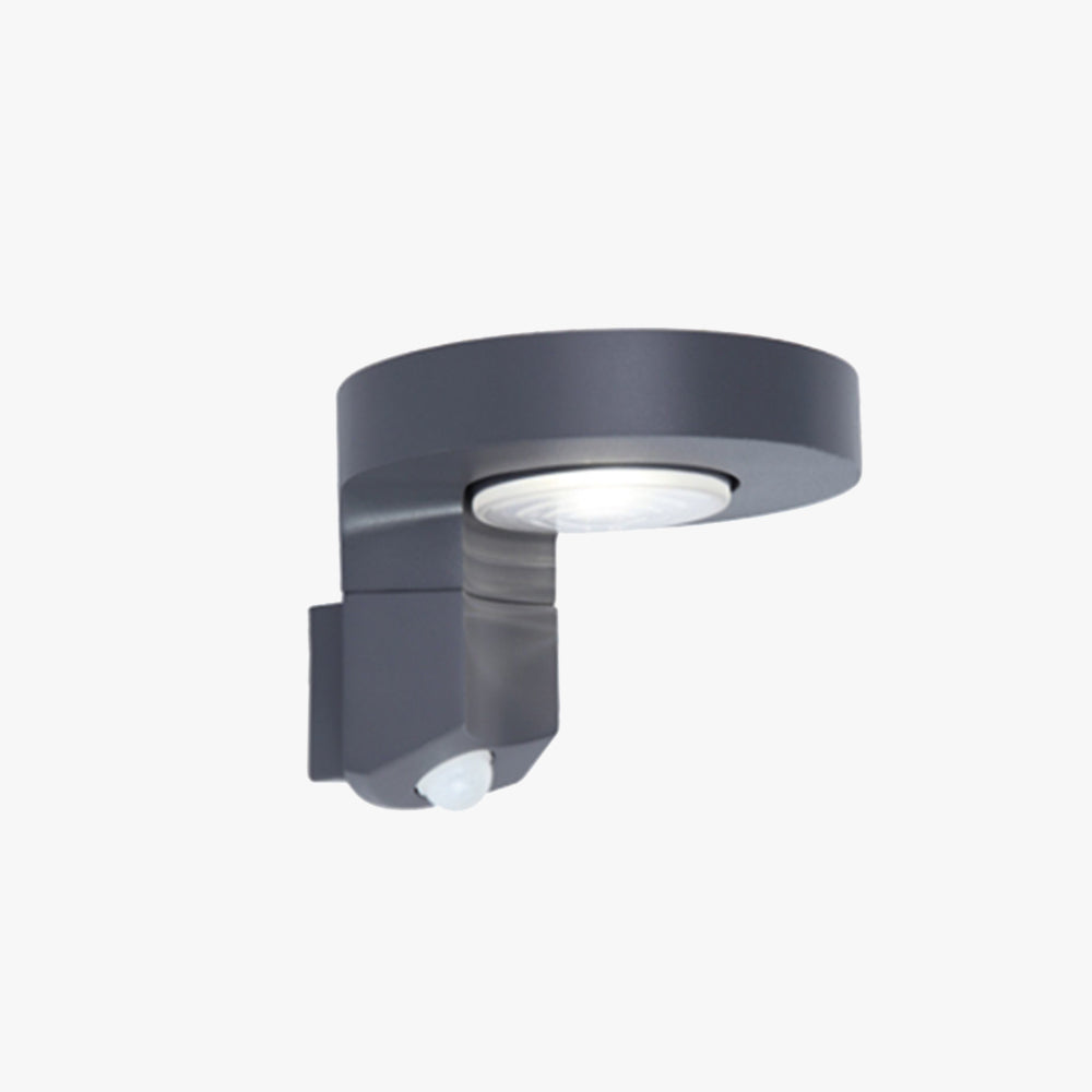 Ray Modern Round Metal/Acrylic Sensor Solar Waterproof Outdoor Wall Lamp, Black - Neutral Decor