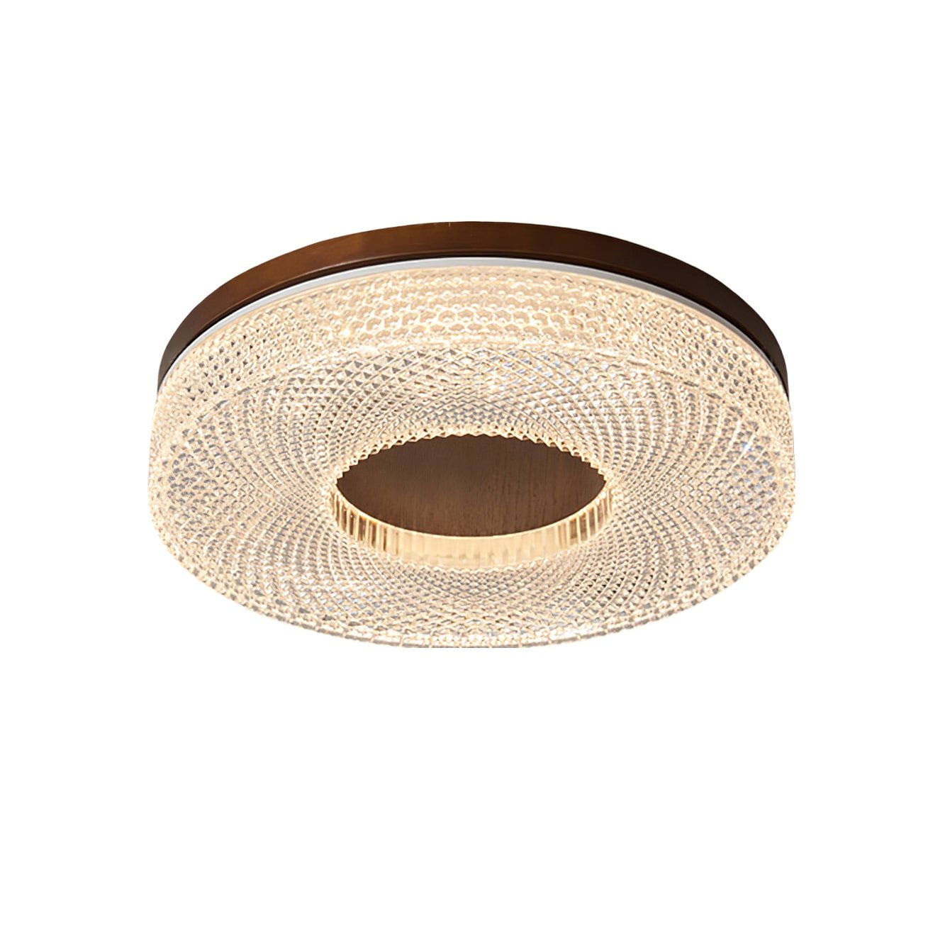 Ecor Ceiling Lamp Acrylic Ring Modern Minimalist-Neutral Decor