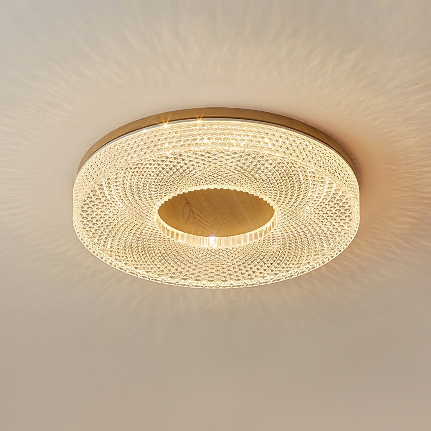 Ecor Ceiling Lamp Acrylic Ring Modern Minimalist-Neutral Decor