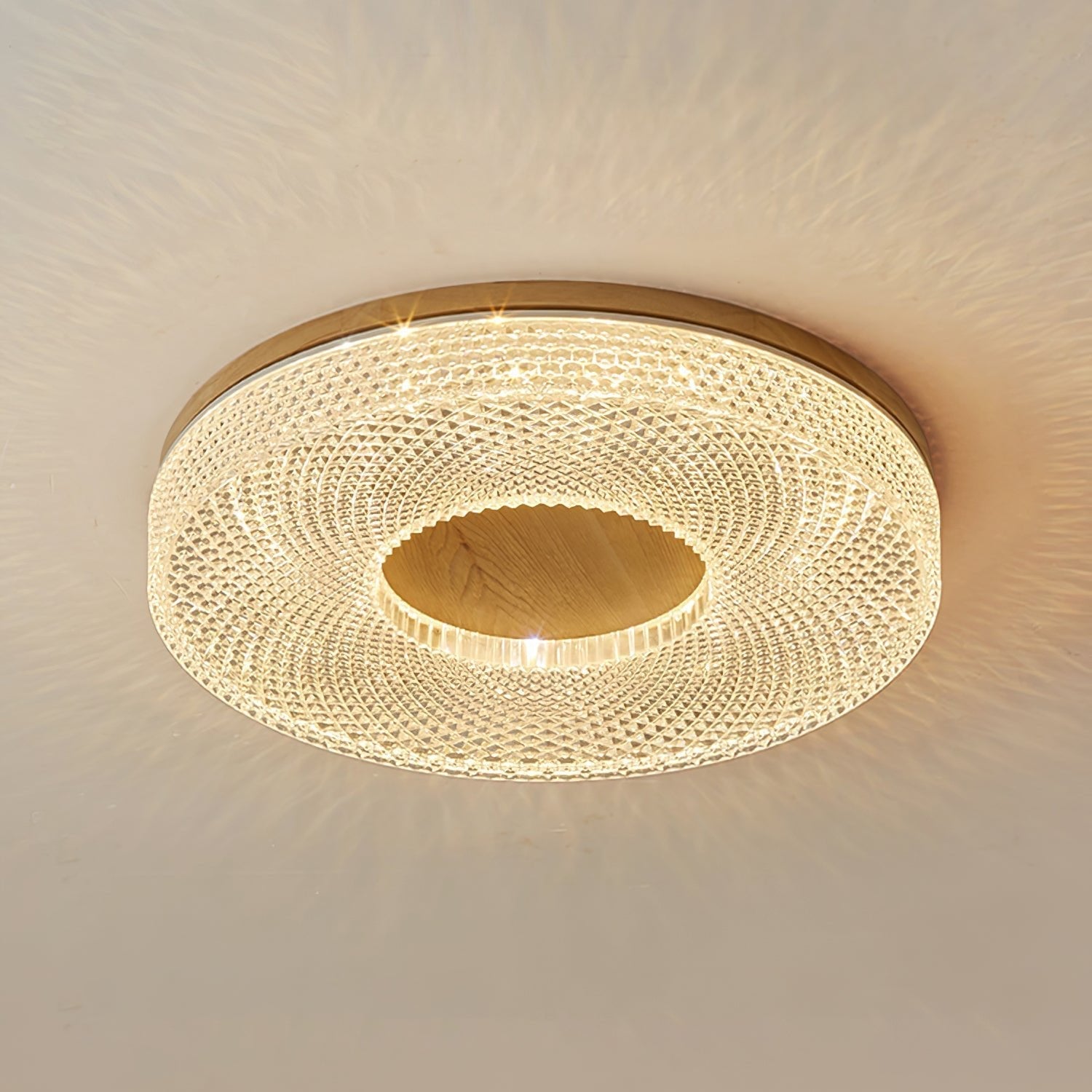 Ecor Ceiling Lamp Acrylic Ring Modern Minimalist-Neutral Decor