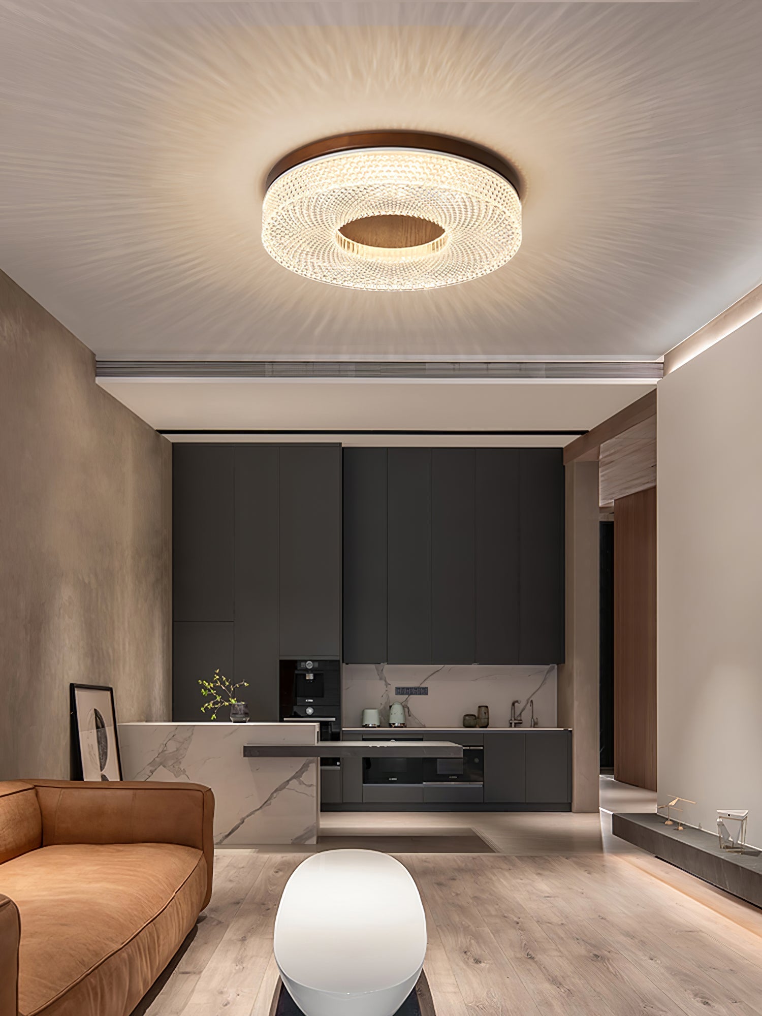 Ecor Ceiling Lamp Acrylic Ring Modern Minimalist-Neutral Decor