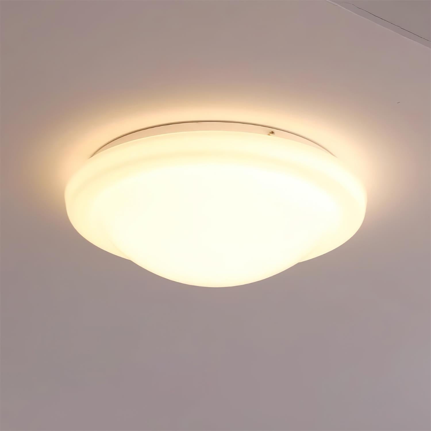 Zenia Ceiling Light