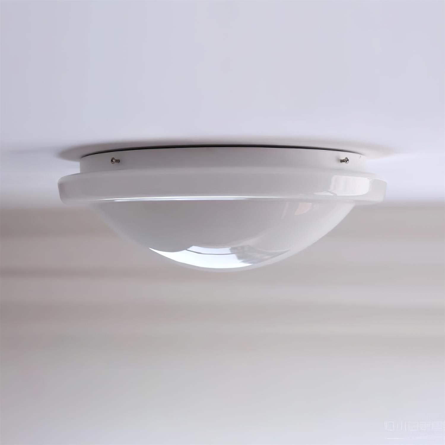 Selwyn Ceiling Light