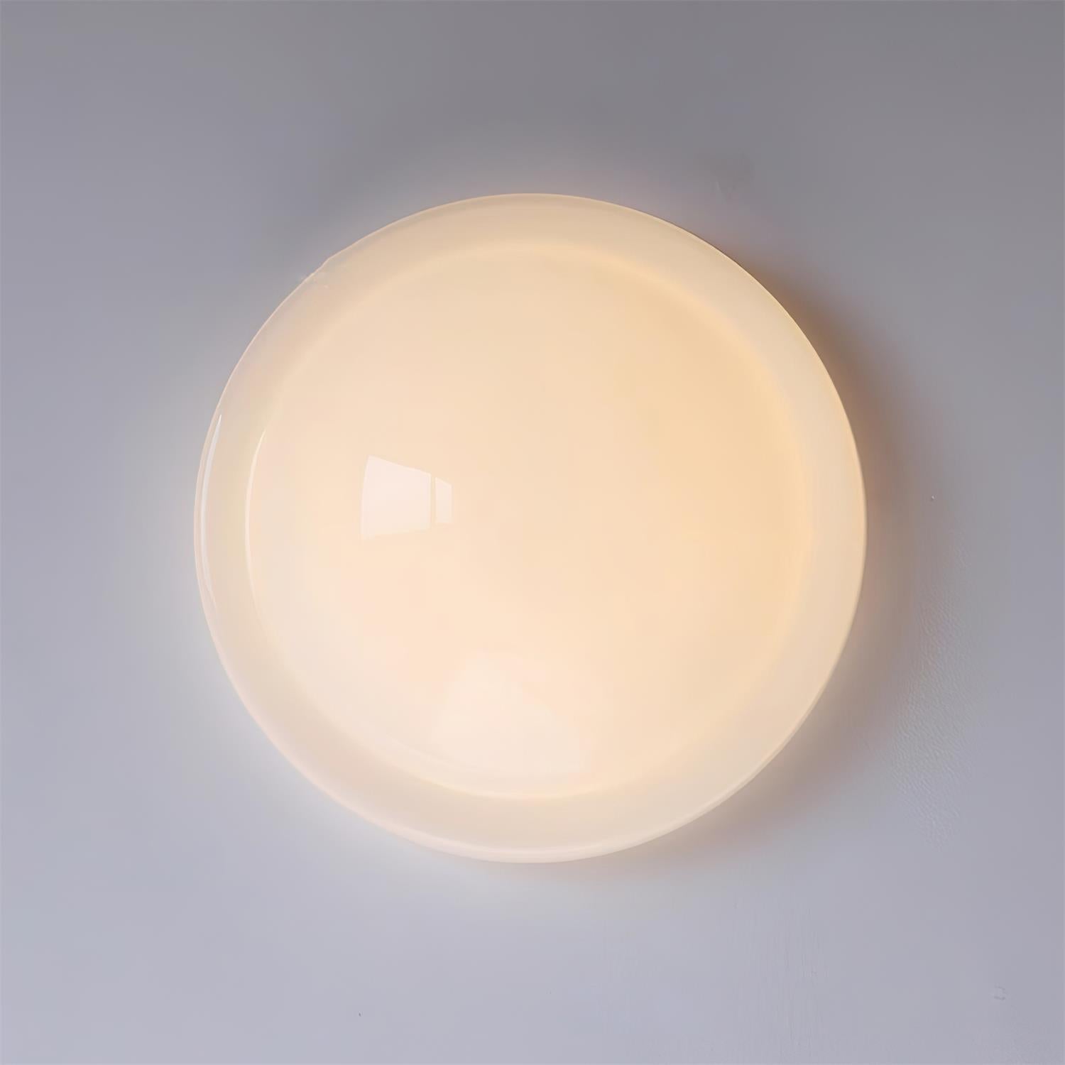 Selwyn Ceiling Light
