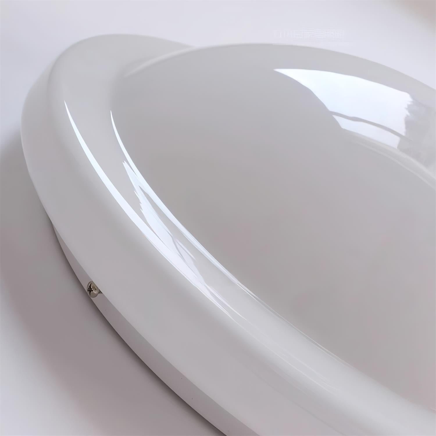 Zenia Ceiling Light