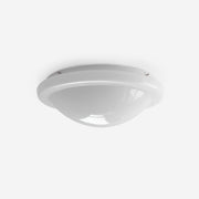 Selwyn Ceiling Light