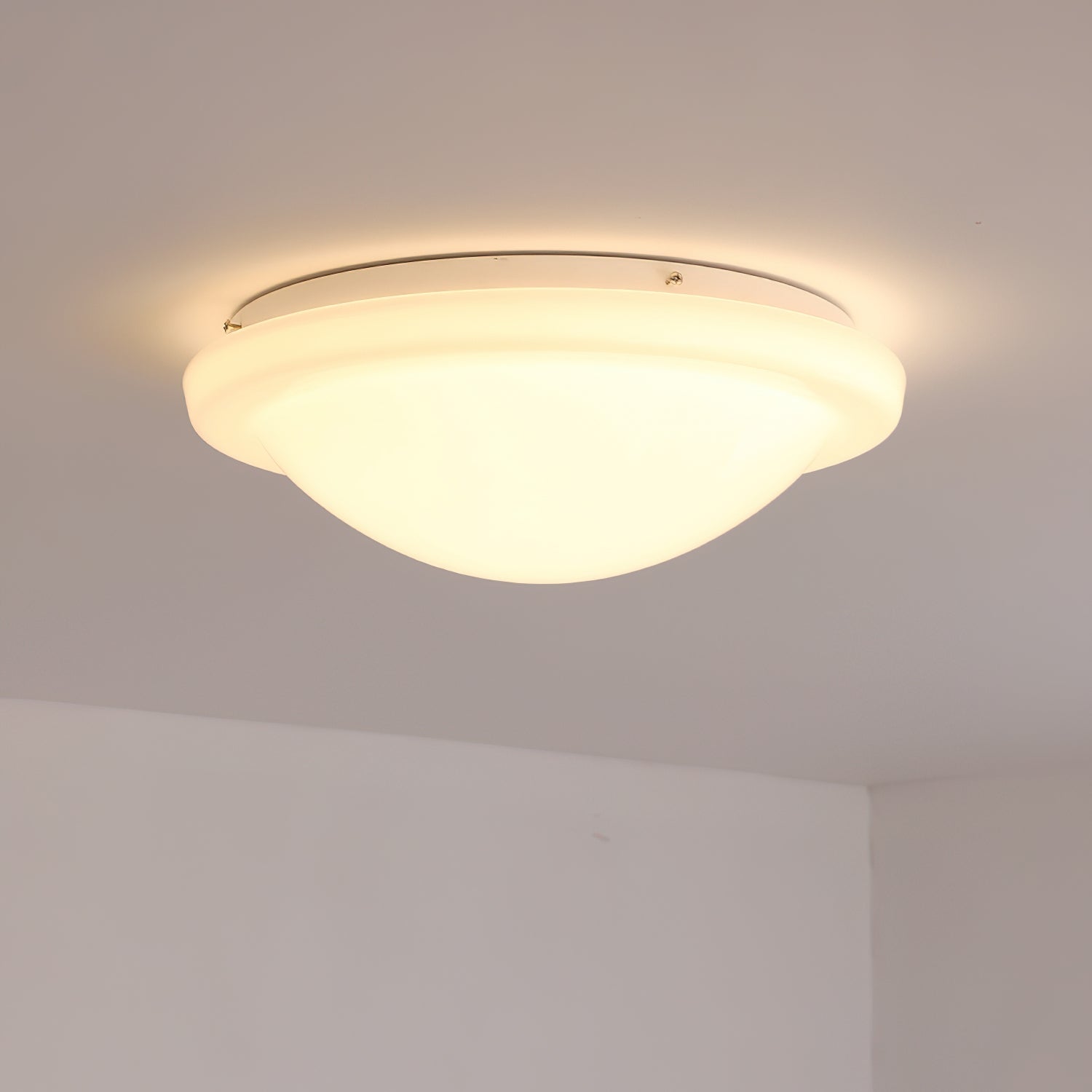 Zenia Ceiling Light