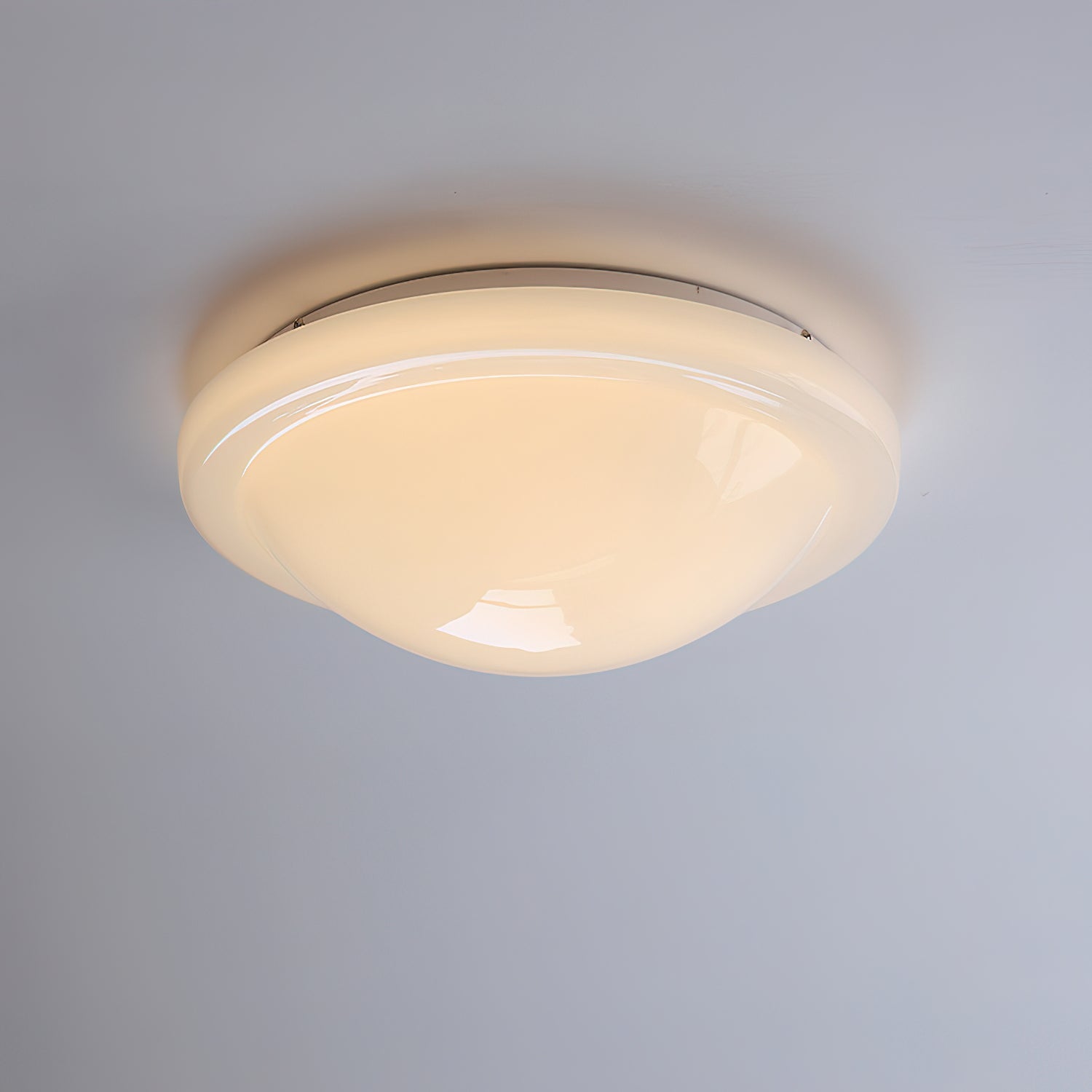 Selwyn Ceiling Light