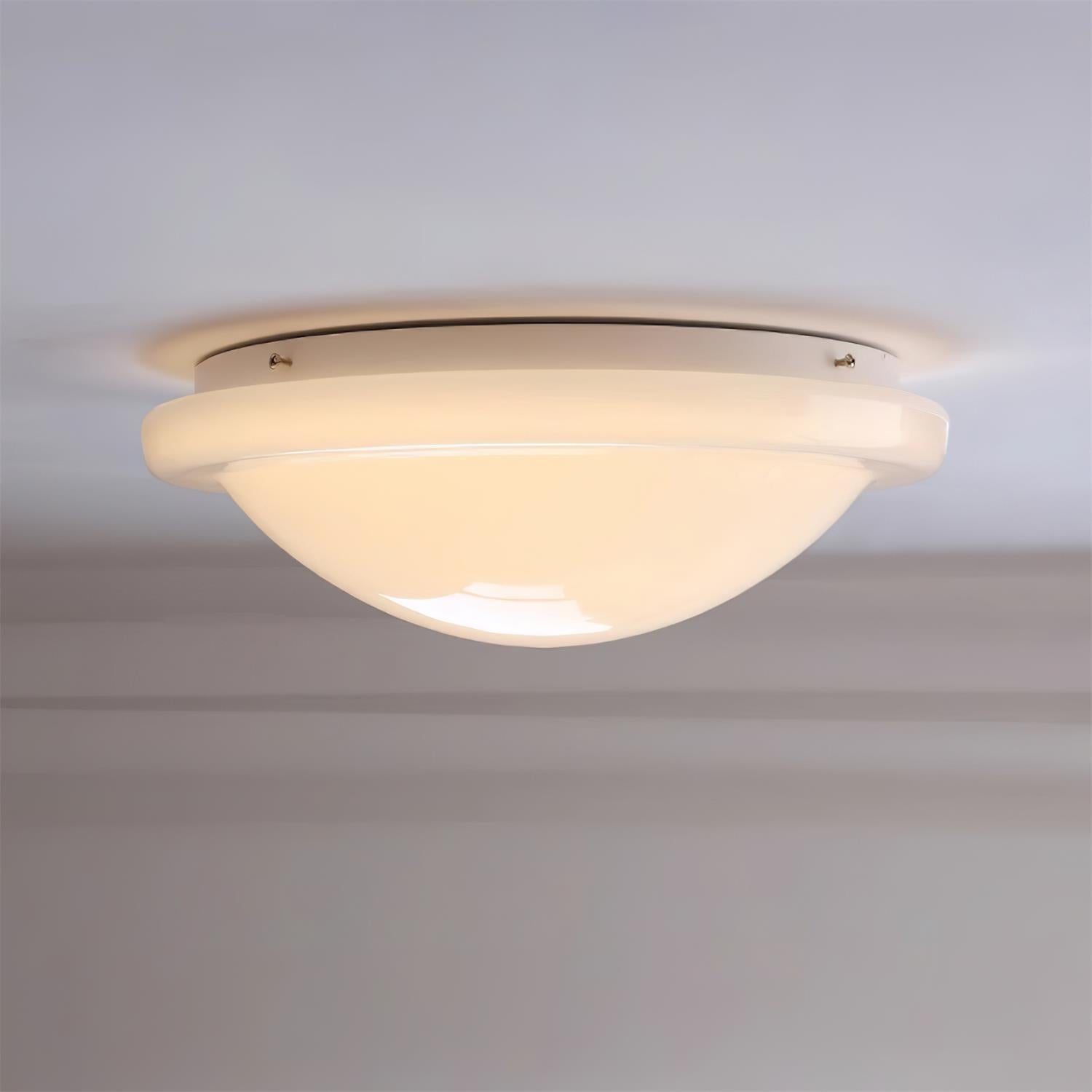 Zenia Ceiling Light