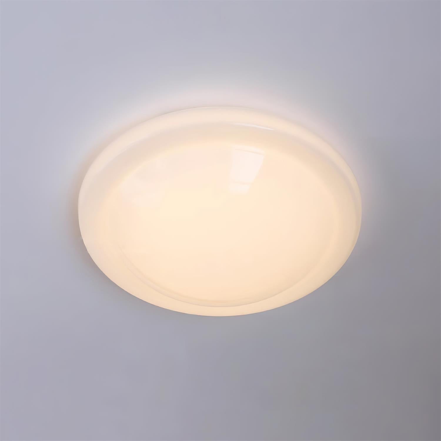 Selwyn Ceiling Light