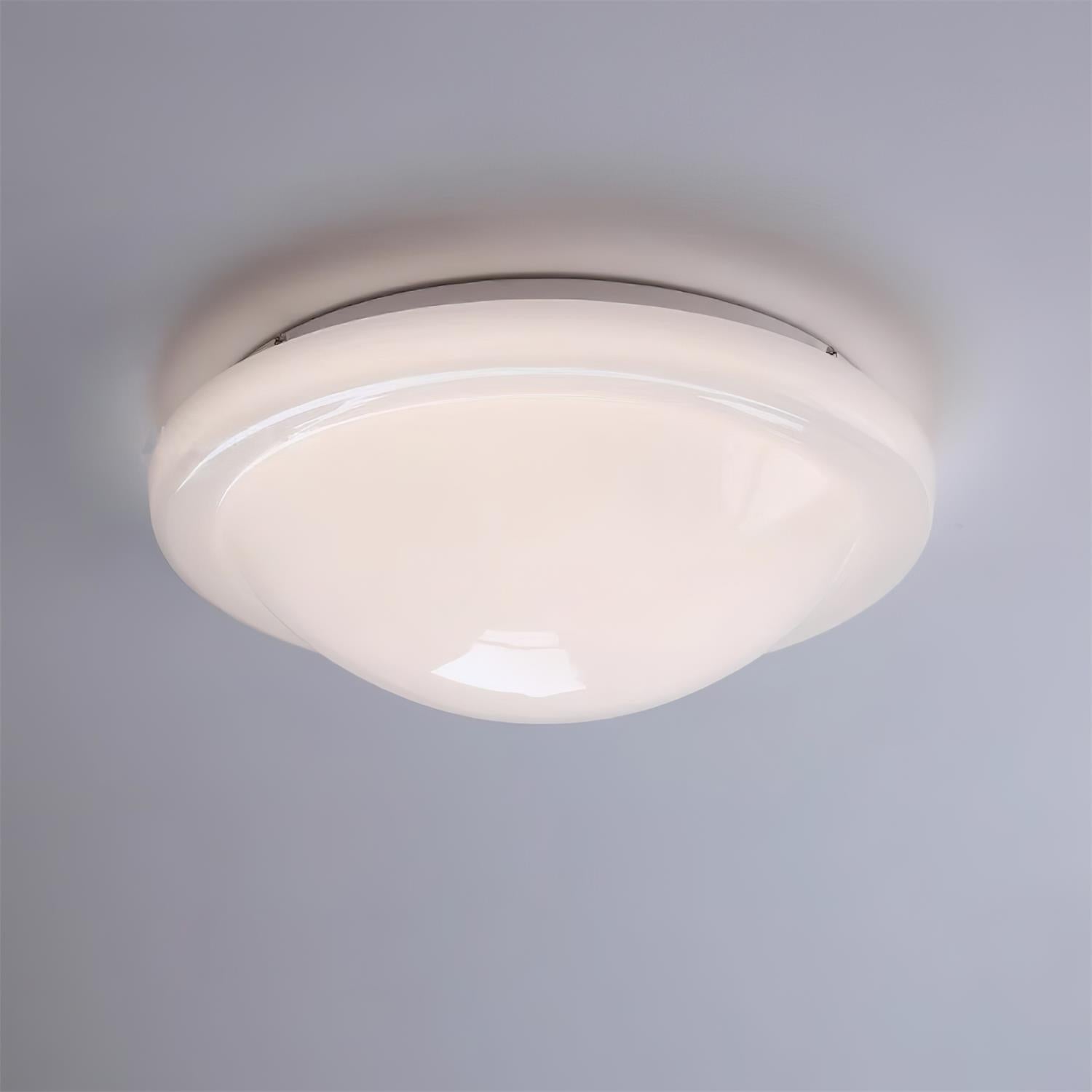 Zenia Ceiling Light