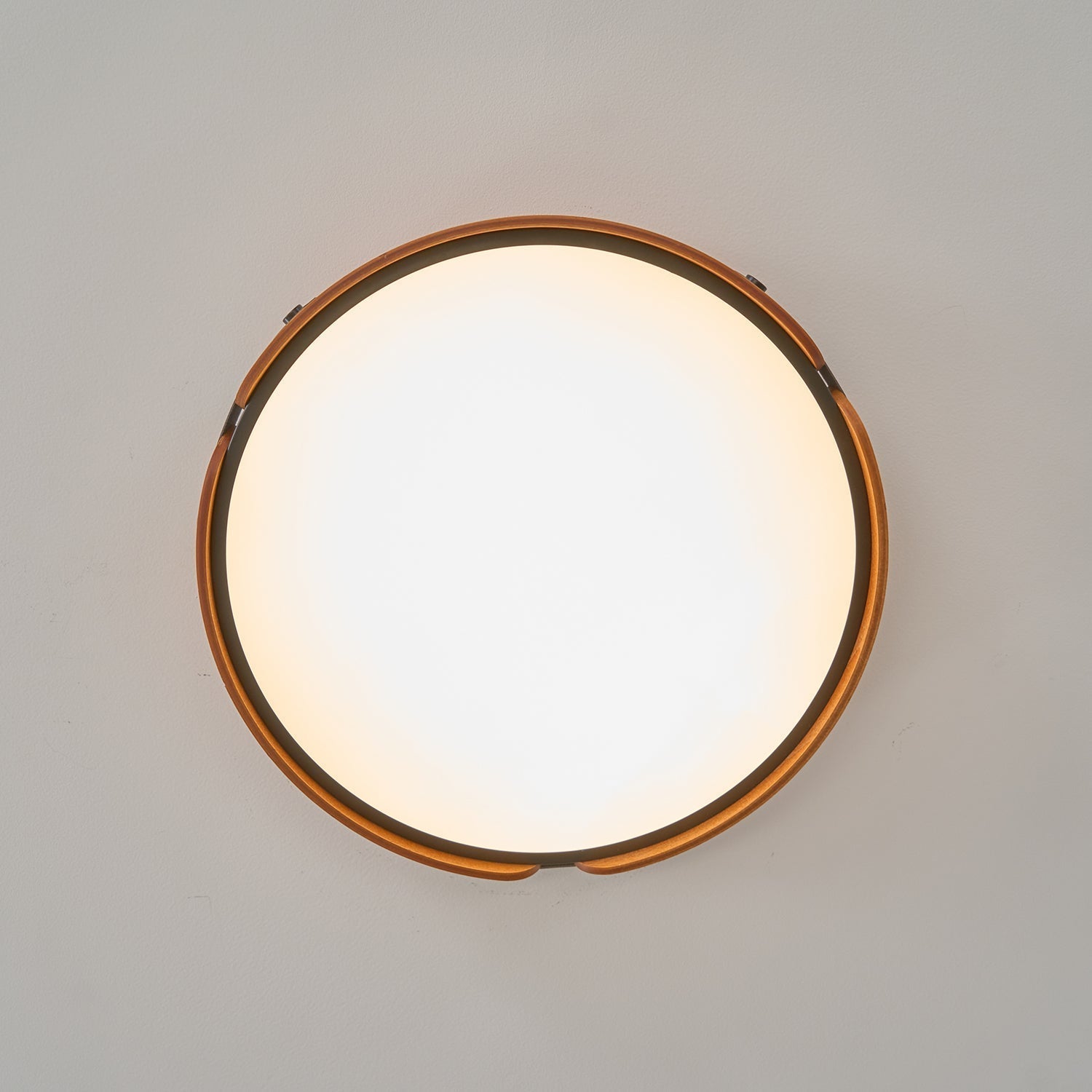 Sylvan  Wood Ceiling Light