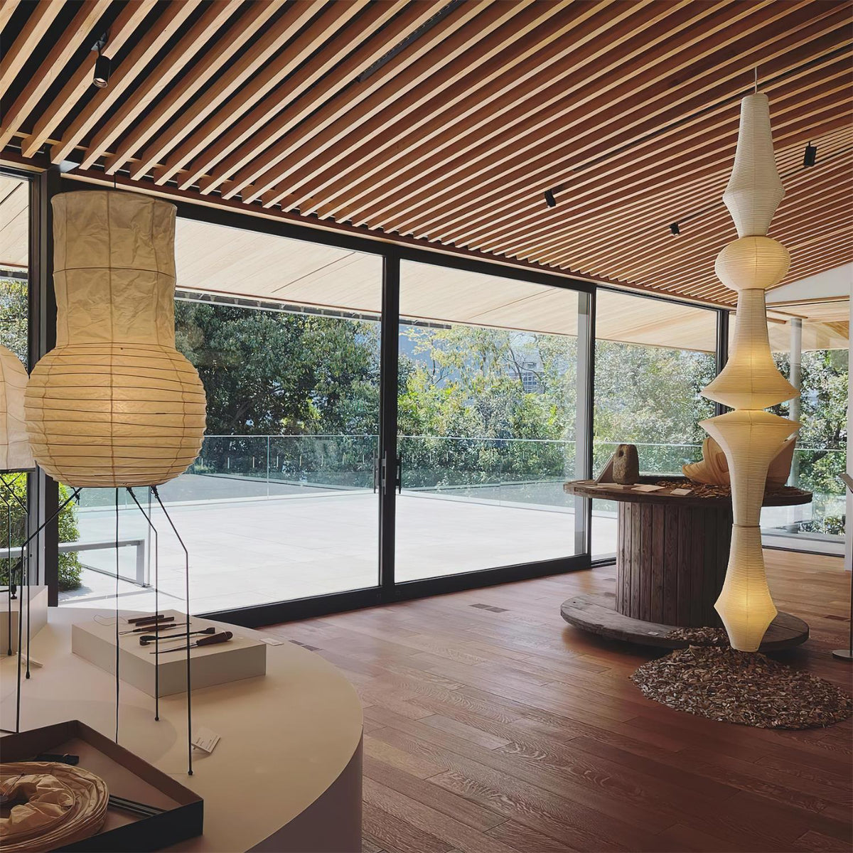 Orelerena Pendant Lamp