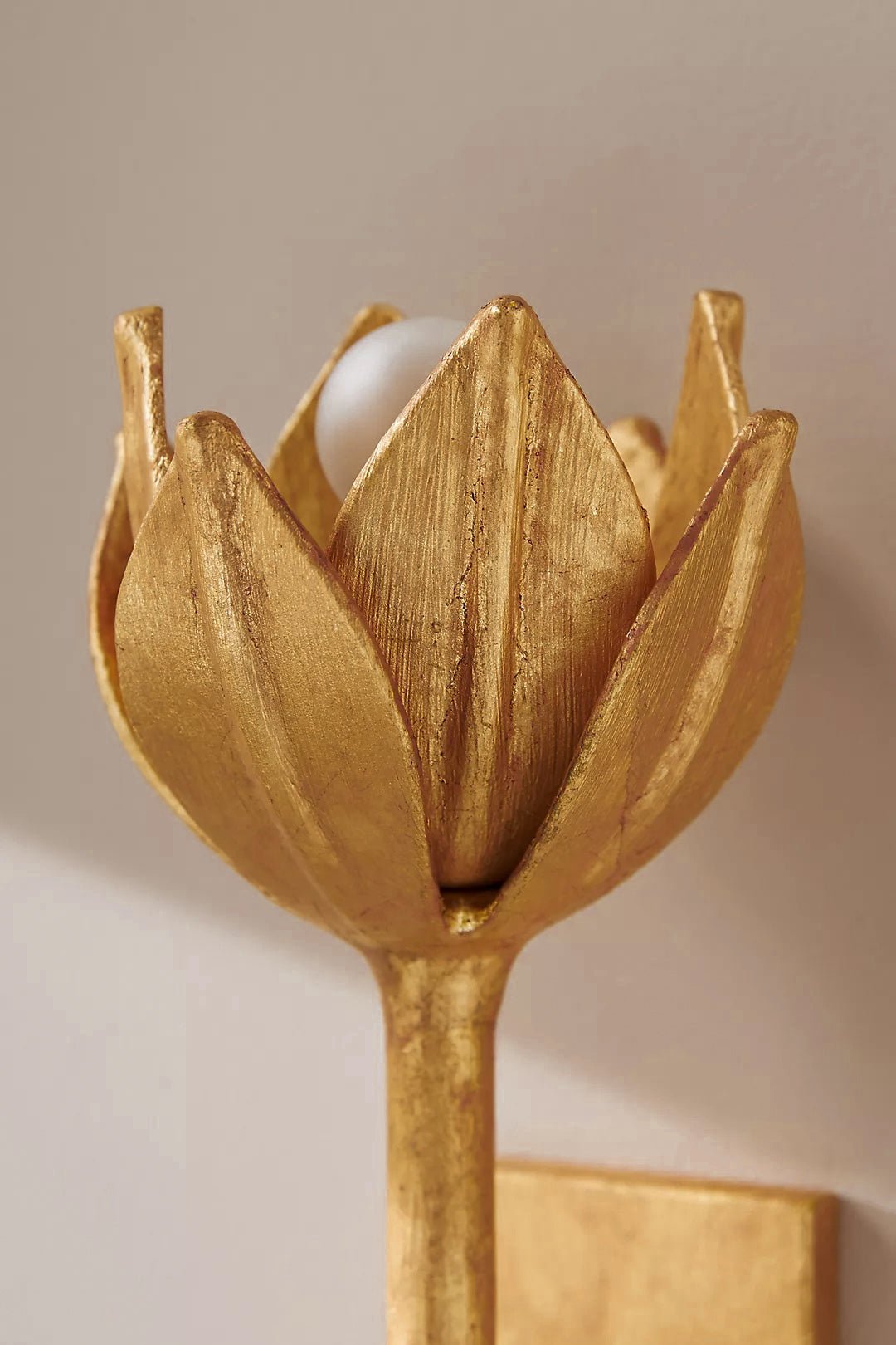 Clira Brass Lotus Bloom Wall Lamp-Neutral Decor