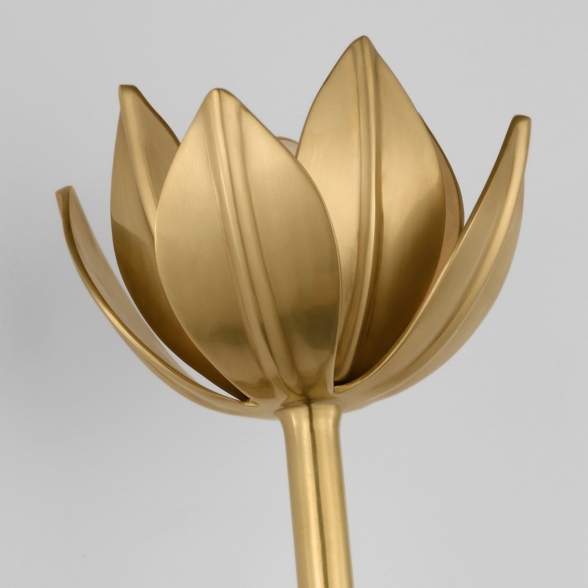 Clira Brass Lotus Bloom Wall Lamp-Neutral Decor