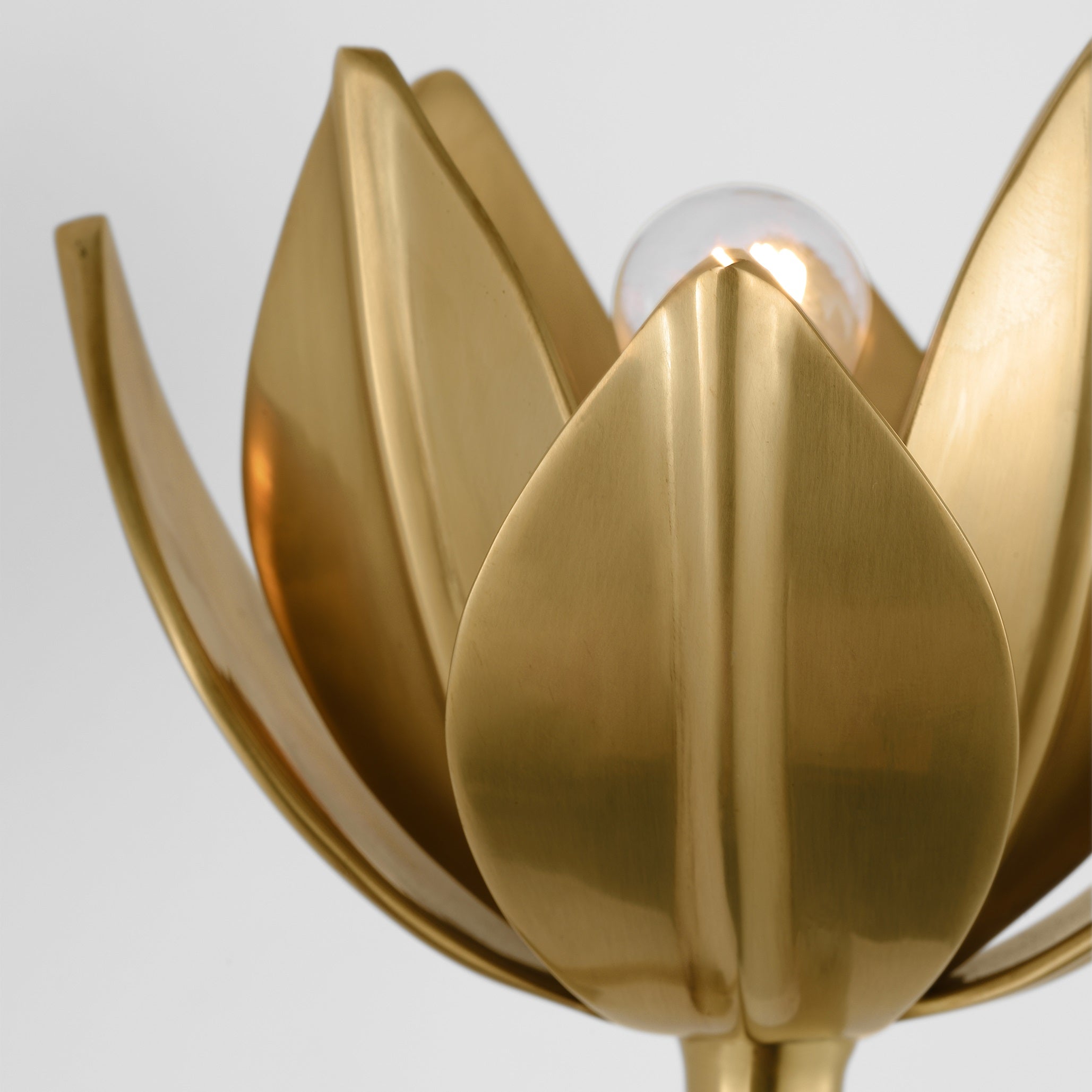 Clira Brass Lotus Bloom Wall Lamp-Neutral Decor