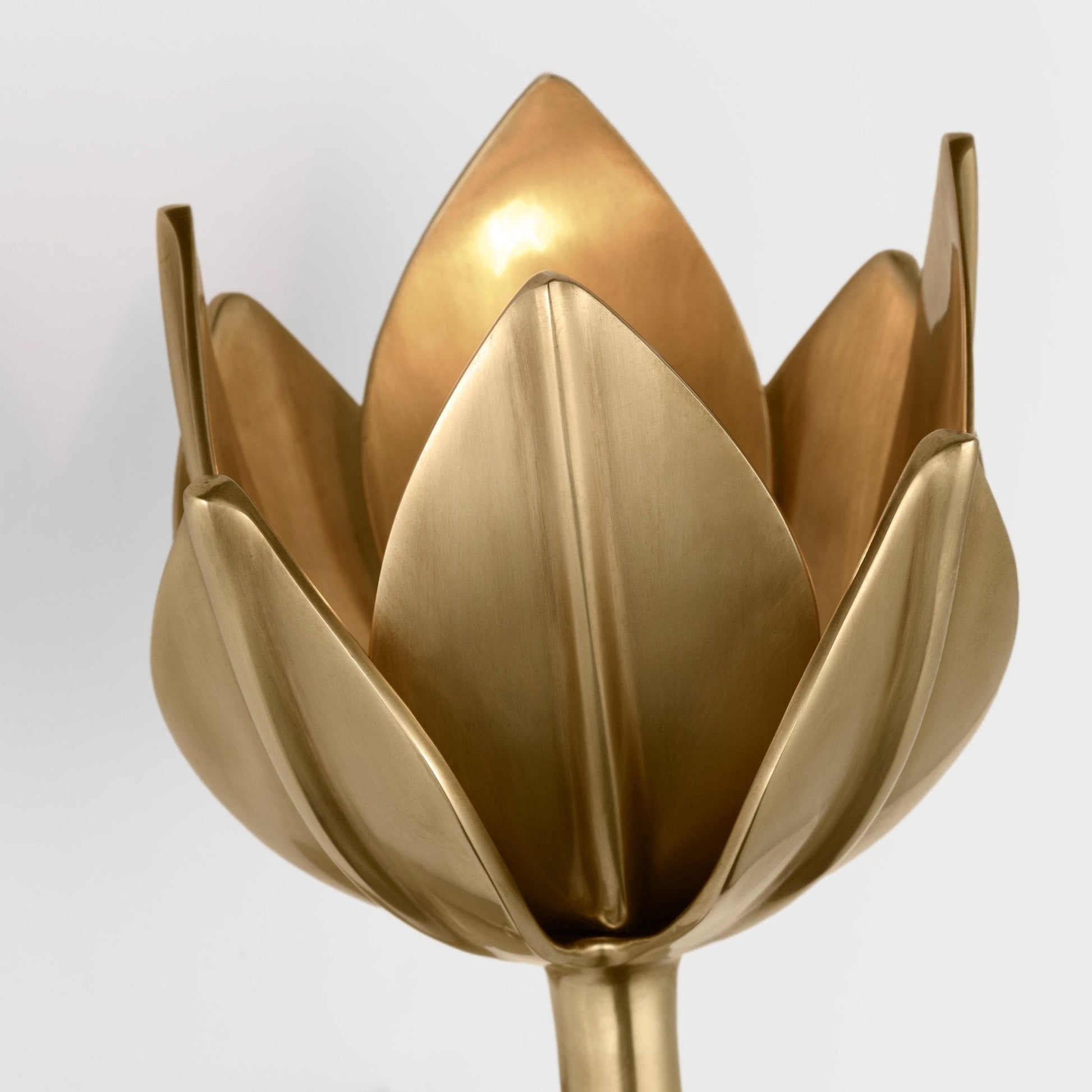 Clira Brass Lotus Bloom Wall Lamp-Neutral Decor