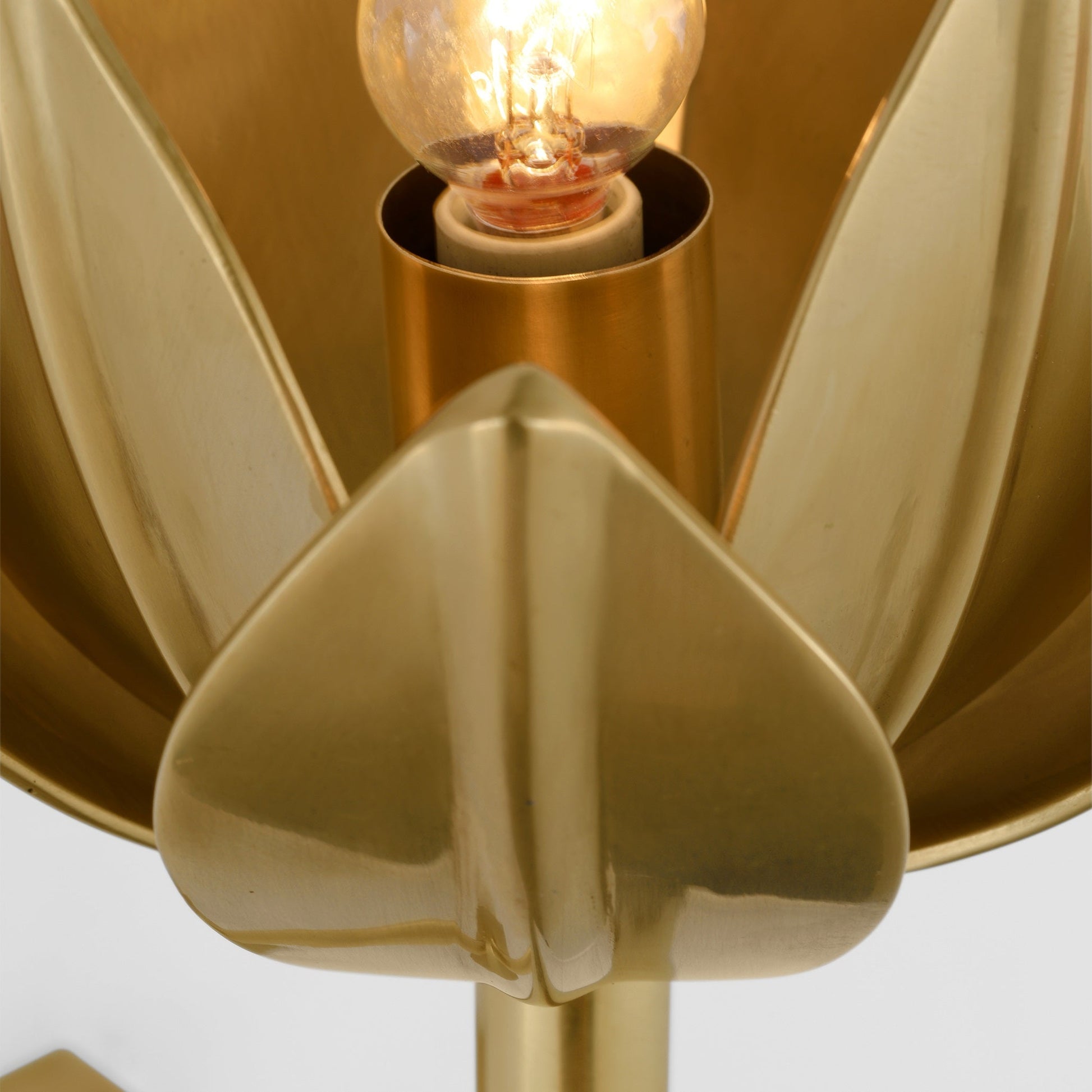 Clira Brass Lotus Bloom Wall Lamp-Neutral Decor