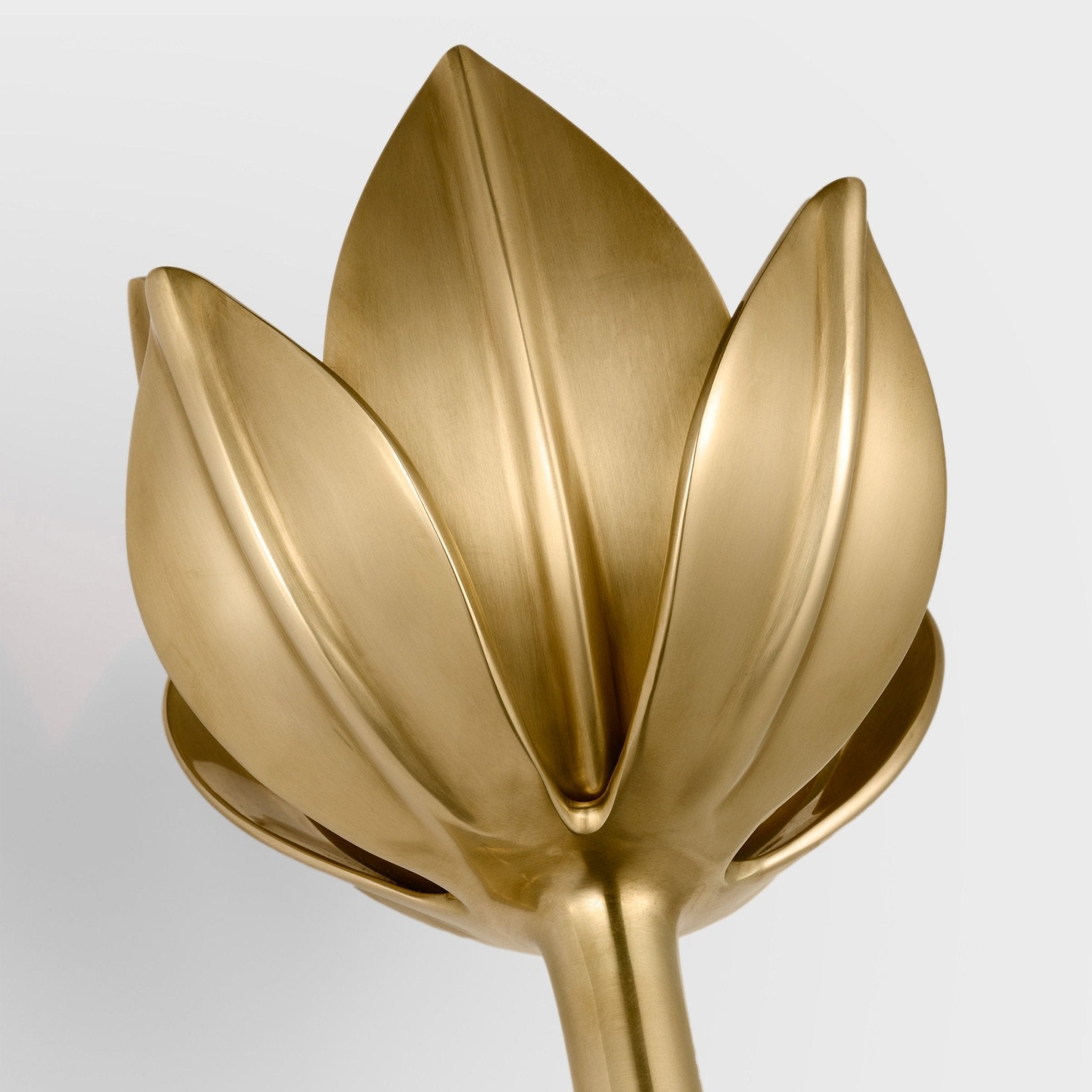 Clira Brass Lotus Bloom Wall Lamp-Neutral Decor