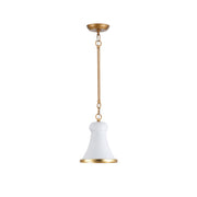 Vatnuvyn Modern Minimalist Metal Pendant Lamp